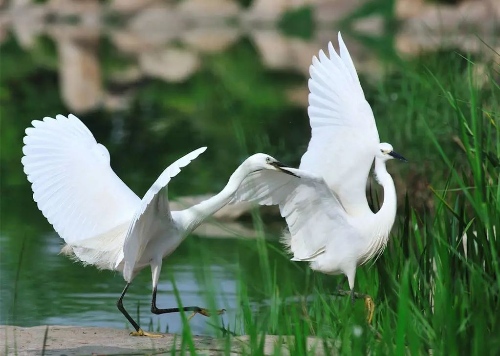 0fe364aa6b0e4681a622388e72ac83c8 - 副本